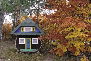 P1010007-sapiolko_opt